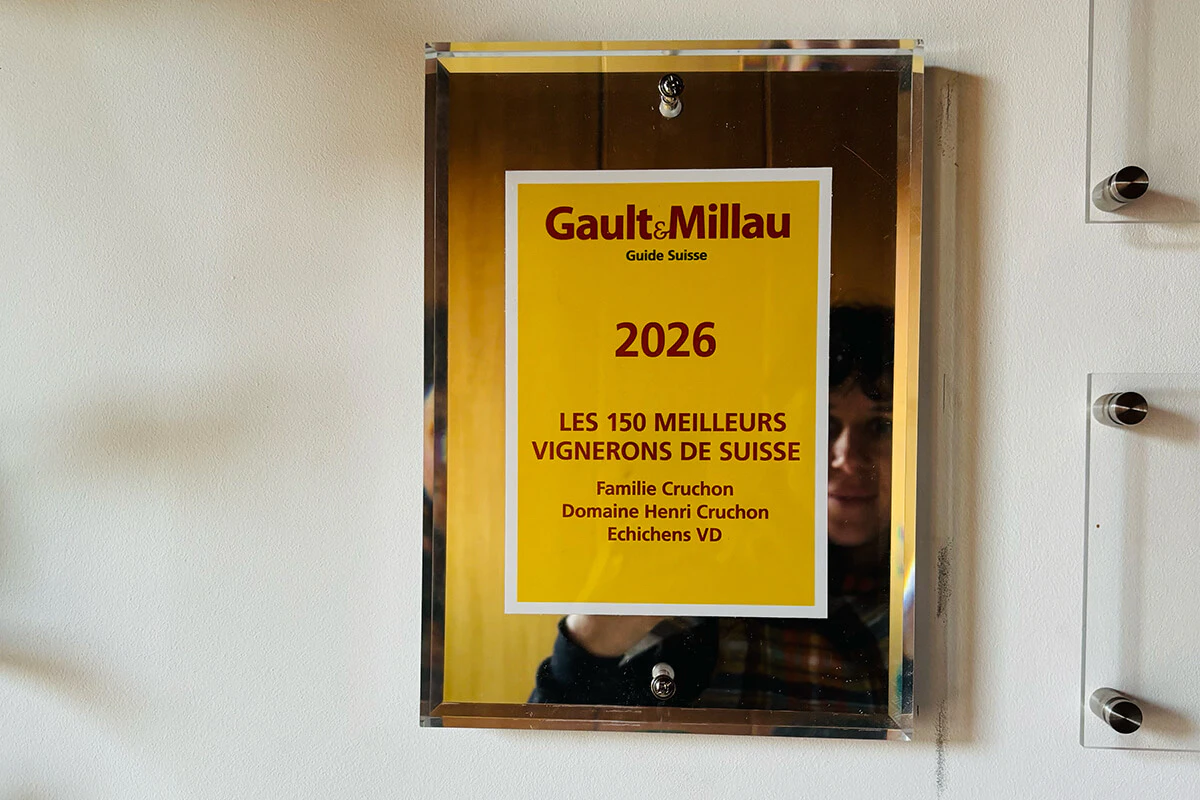 01_Blog_article_in_the_top_150_Swiss_winemakers_800x1200px_02 - 01