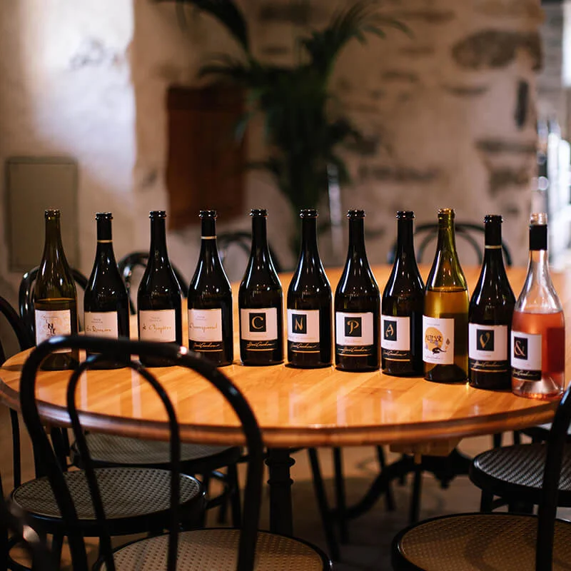 Atelier-Dégustation_Alina_Birjuk_800x800px