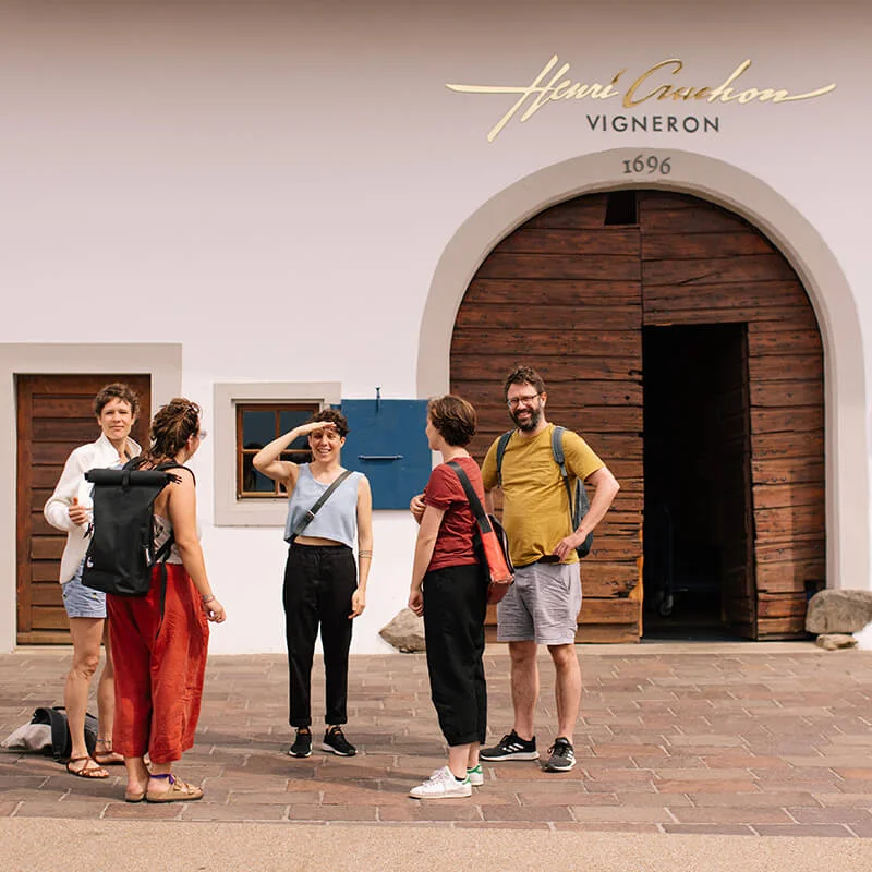 Dégustation-libre_Alina_Birjuk_800x800px