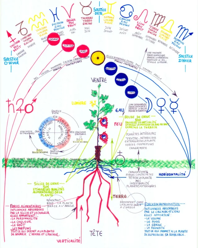 Table_explanation_Biodynamics_Domaine_Cruchon_1200px